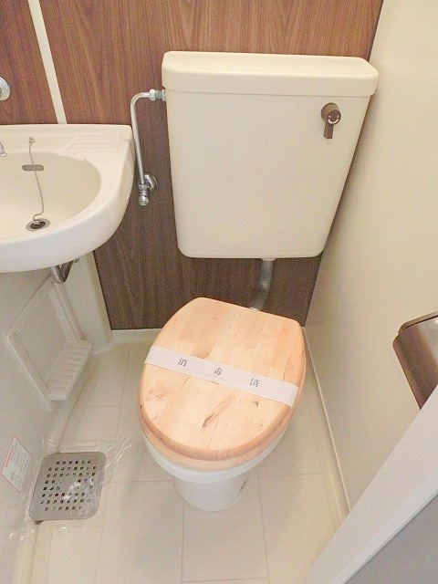 Toilet. Toilet