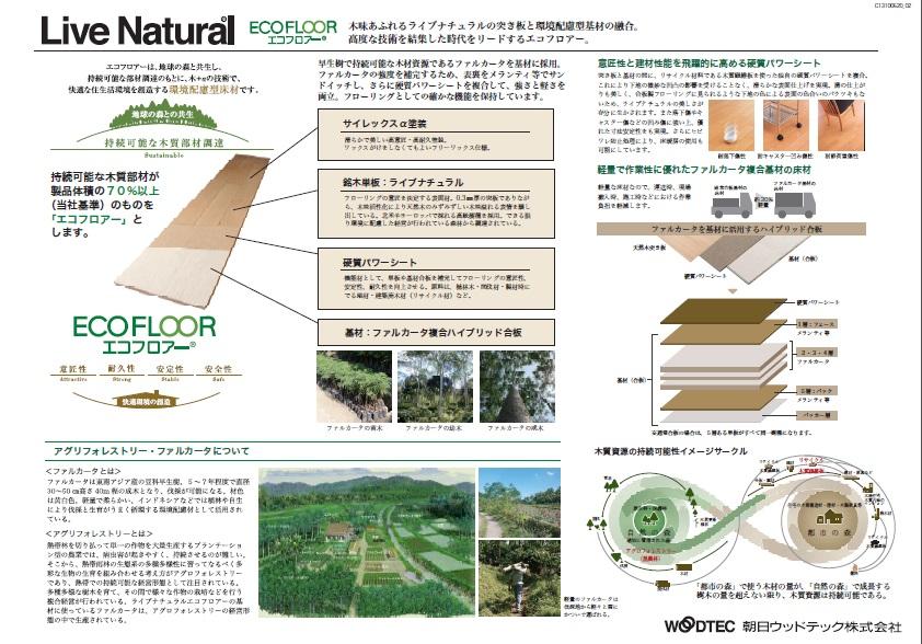 Other. Eco-floor specification
