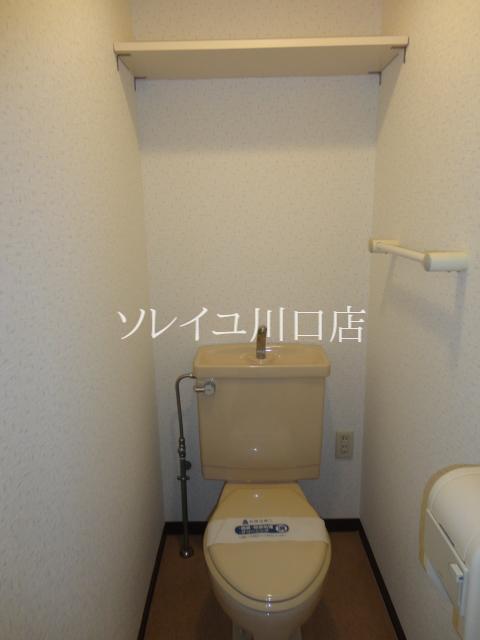 Toilet. Hot to space