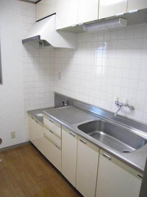 Kitchen. Gas stove is installed Allowed