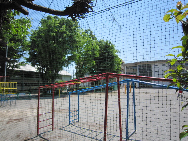 Primary school. Central East until the elementary school (elementary school) 374m