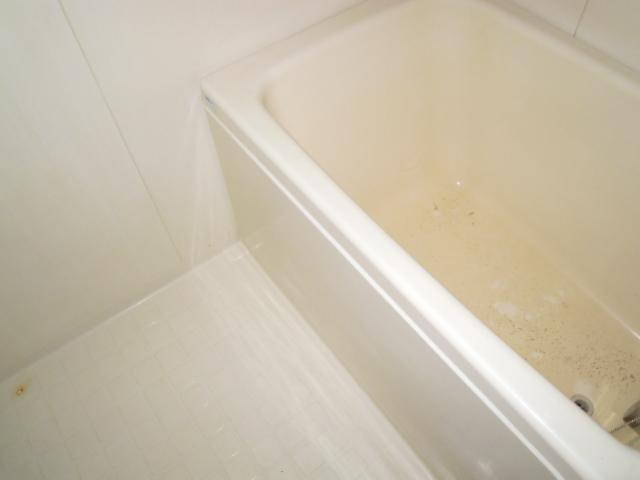 Bath. Spacious bath of add-fired function with.