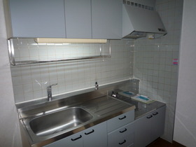 Kitchen. Two-burner gas stove can be installed