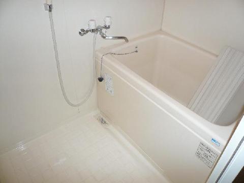 Bath. It is a white oversized bath.