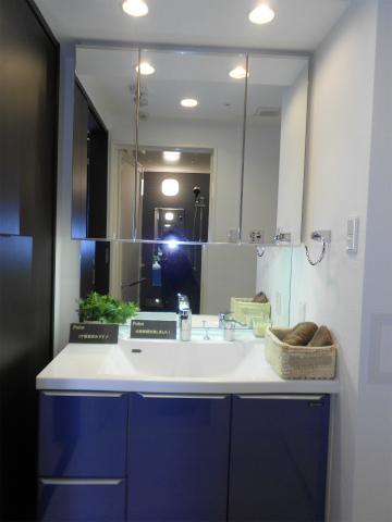 Wash basin, toilet. Vanity (January 2014) Shooting