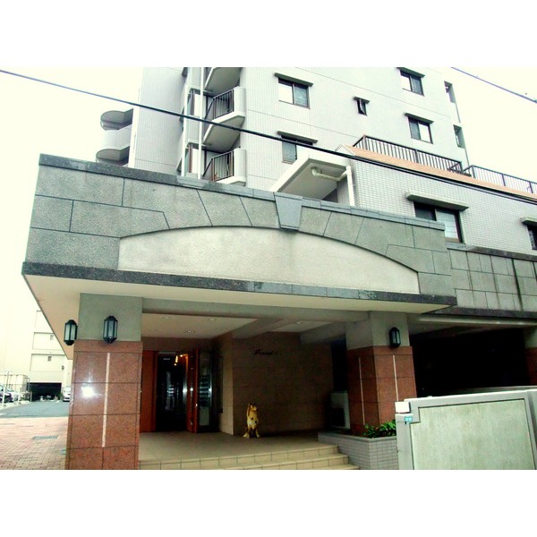 Building appearance