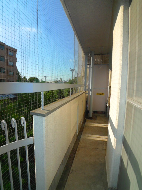 Balcony. Veranda