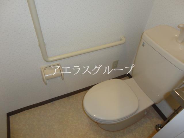 Toilet. Handrail with toilet