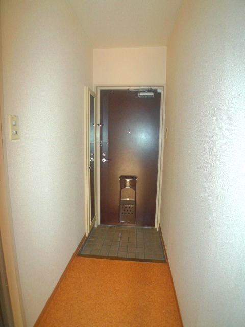 Entrance. Image (another in Room photo)