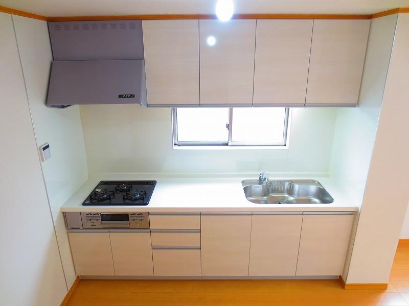 Kitchen. Local (12 May 2013) Shooting