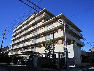 Local appearance photo. Local (12 May 2013) Shooting