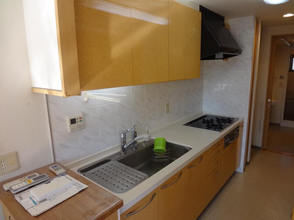 Kitchen. Indoor (11 May 2013) Shooting