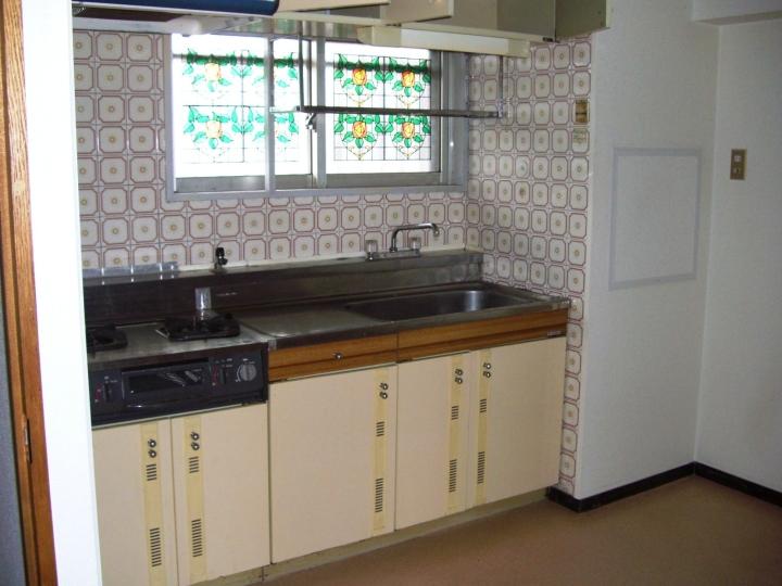 Kitchen. Indoor (11 May 2013) Shooting