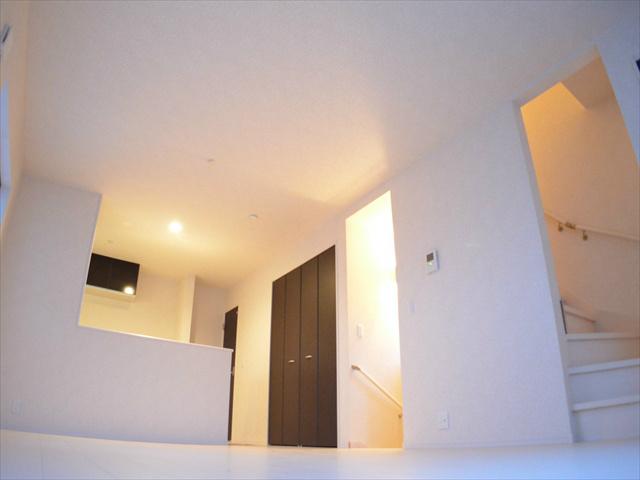 Living. 18 Pledge large space living room