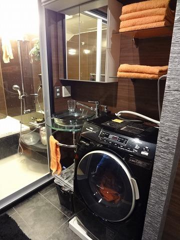 Wash basin, toilet. Wash ball & Laundry Area