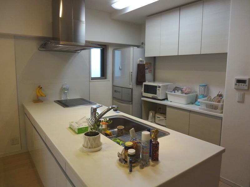 Kitchen. Full flat type of system Kitchen