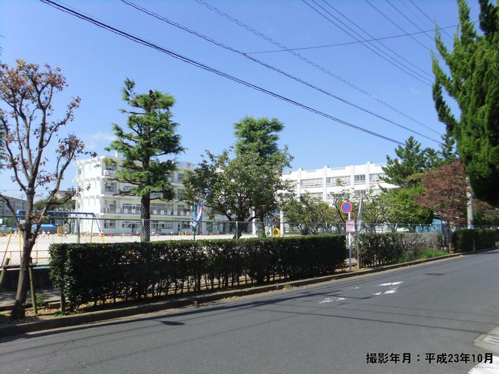 Primary school. Yashio Municipal pine trees up to elementary school 170m