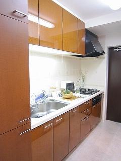 Kitchen. Independent type of kitchen! With back door! Indoor (12 May 2013) Shooting