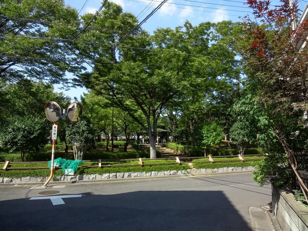 Other local. Adjacent pine tree park