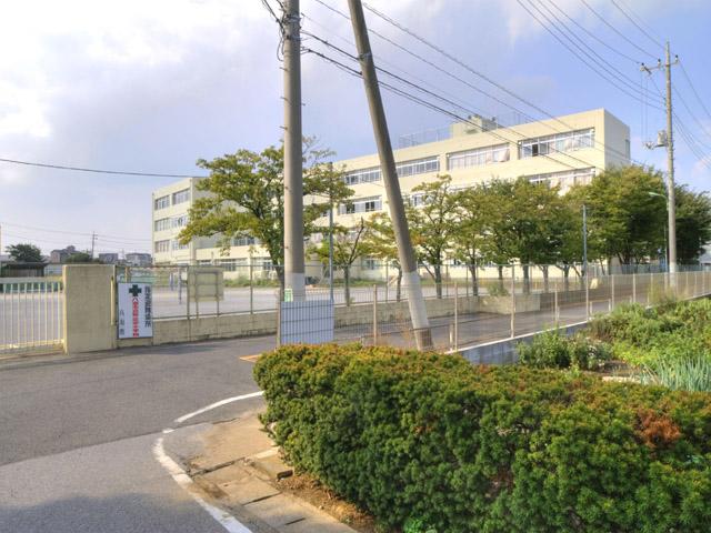 Other. Pine tree elementary school: about 215m