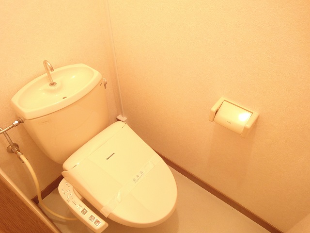 Toilet. Washlet toilet