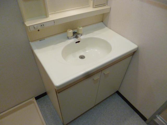 Washroom. Bathroom vanity