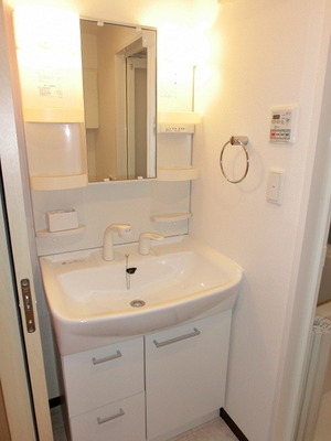 Washroom. Shower dresser equipped