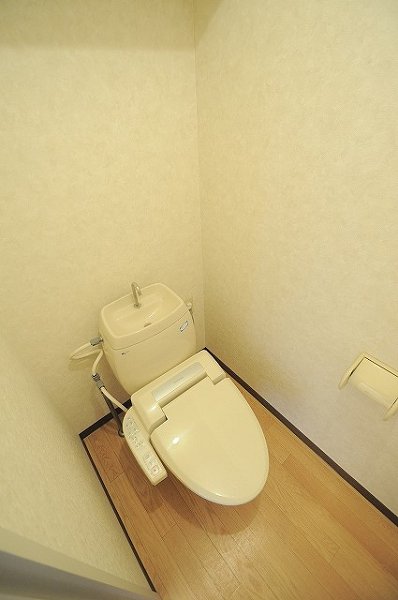 Toilet. Bidet