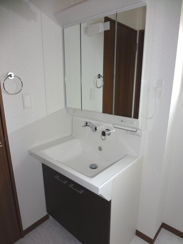 Wash basin, toilet. Vanity with shower (Building 2)