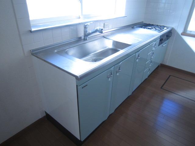 Kitchen. Indoor (12 May 2013) Shooting