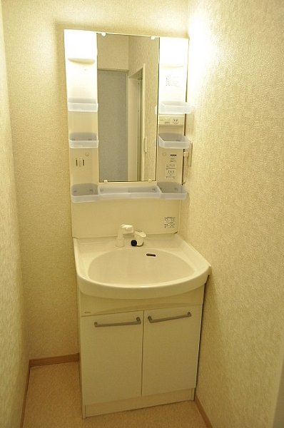 Washroom. Shampoo dresser