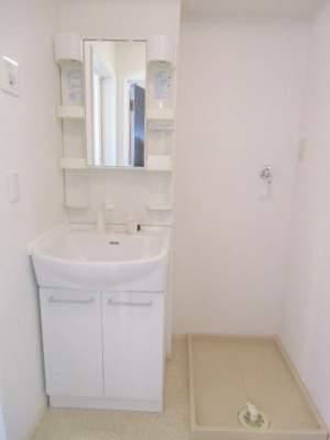 Washroom. Shampoo dresser and a washing machine inside the room