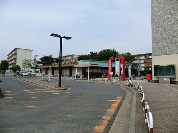 Supermarket. Tajima up to 787m
