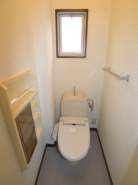 Toilet. Toilet of the holder with