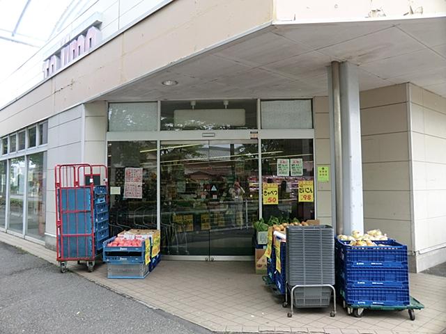 Supermarket. Tajima up to 560m