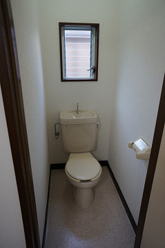 Toilet. Window with toilet!