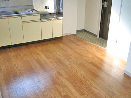 Kitchen. Spacious kitchen space Gas stove can be installed