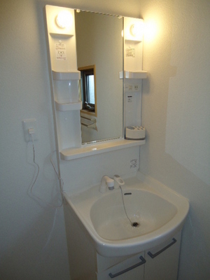 Washroom. Shampoo dresser with separate wash basin