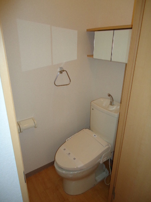 Toilet. Bidet, Heating toilet seat function with toilet