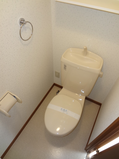 Toilet. It is Ray toilet with cleanliness