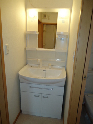 Washroom. Shampoo dresser with separate wash basin