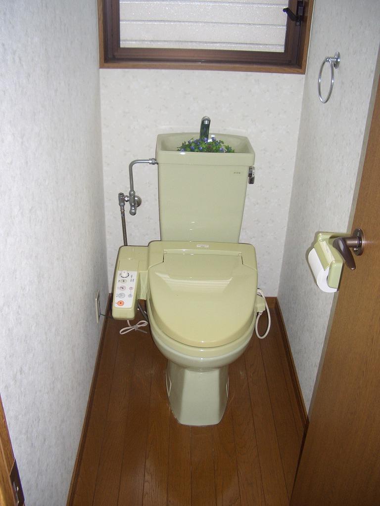 Toilet. Indoor (11 May 2011) Shooting