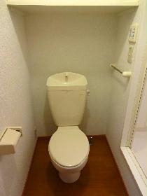 Toilet. There is a bathroom next to the toilet. It has been firmly separated by a door