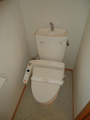 Toilet. Bidet, Heating toilet seat with toilet