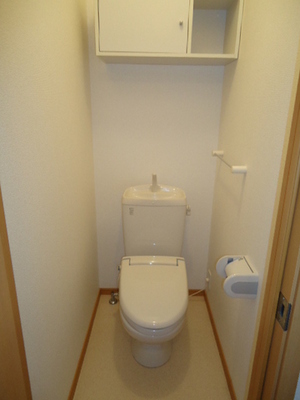Toilet. A heated toilet seat! It is with a convenient shelf