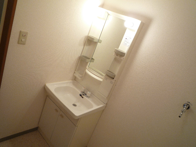 Washroom. Photo is a thing of B201 in Room.