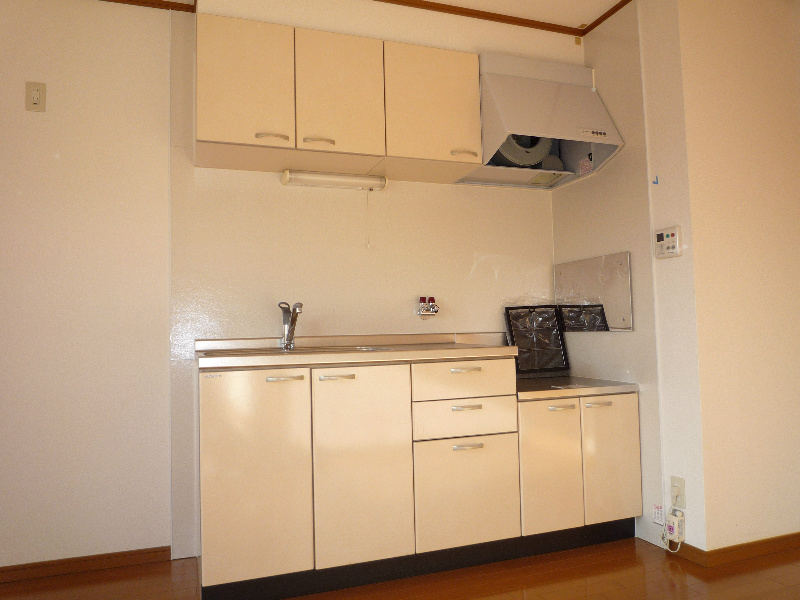 Kitchen. Photo is a thing of B201 in Room.
