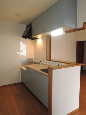 Kitchen. Popular face-to-face kitchen. Cooked in a 2100 type adoption can also be spacious