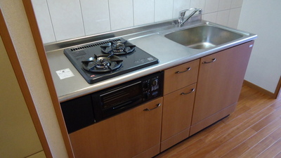 Kitchen. System kitchen