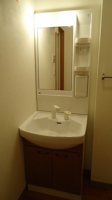 Washroom. Wash basin with shampoo dresser